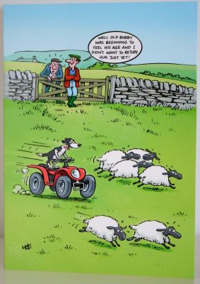 Blank Humour Greeting Card with envelope for any Occasion Bobby the Sheep Dog 10509