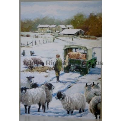 Blank Greeting Card with Envelope for any Occasion Feeding the Sheep Free P&P 10582