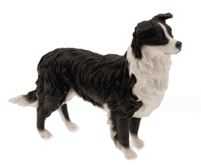 Leonardo Dog Collection Border Collie Standing LP14482