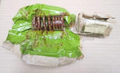 Ford Valve Spring Pair 1717773