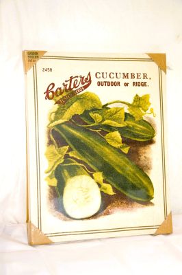 Garden Museum Wood Framed Canvas Print Cucumber 2458