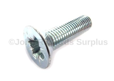 Door Hinge Screw 392920