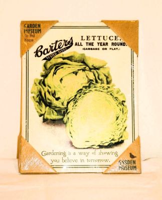 Garden Museum Small Metal Sign Lettuce PK56418