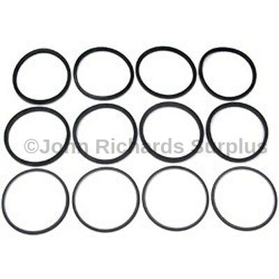 Brake Caliper Piston Seal Kit AEU2539R