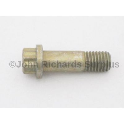 Caliper Bolt Front AFU1031