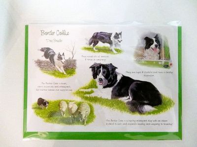 Border Collie Blank Greetings Card Free P&P LSC 0077