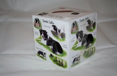 Border Collie NoteBlock Pads