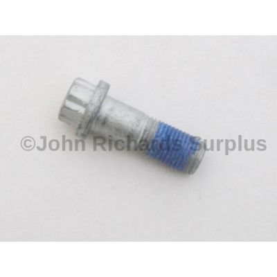 Caliper Bolt SYP500090