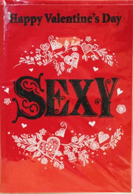 Valentines Day Card Sexy Free P&P HAV276V61