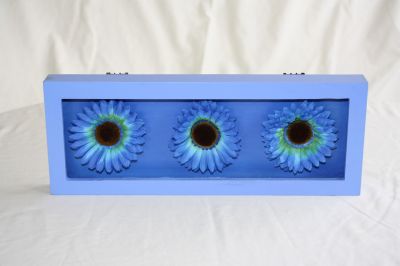 Wooden Framed Gerbera-Daisy Wall Art Blue with 3 Blue Flowers 537-106 Blue