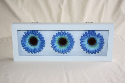 Wooden Framed Gerbera-Daisy Wall Art Light Blue with 3 Blue Flowers 022967 Light Blue