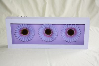 Wooden Framed Gerbera-Daisy Wall Art Lilac with 3 Lilac Flowers 537-106 Lilac