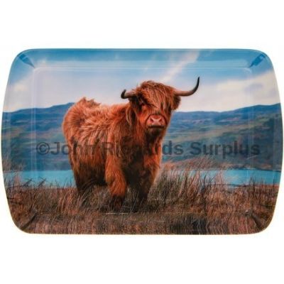 Highland Coo (Cow) Snack Tray Leonardo Collection