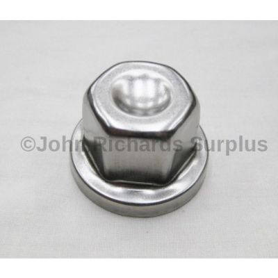 Alloy Wheel Lock Nut Cover RRJ100120