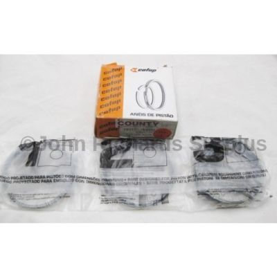 Piston Ring Set Petrol +30 RTC419030