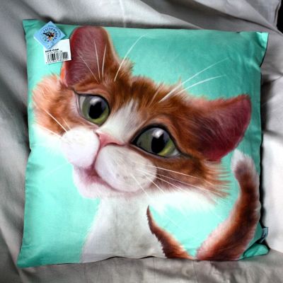 Large Caricature Cushion Tabby Cat 45 cms x 45 cms